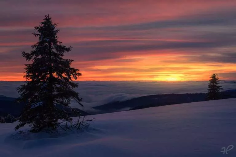 Abendliche Inversion mit Schnee im Schwarzwald