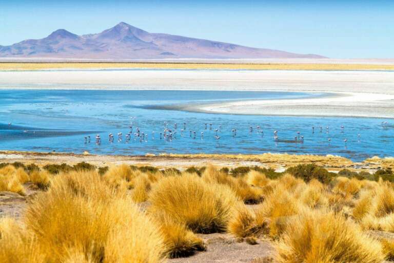 Salar de Tara, See in der Atacamawüste