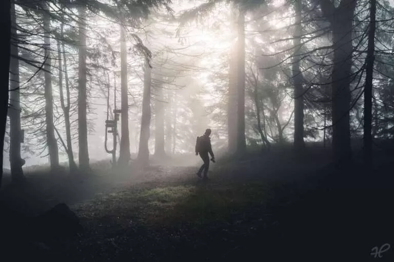 Wanderer im Nebelwald