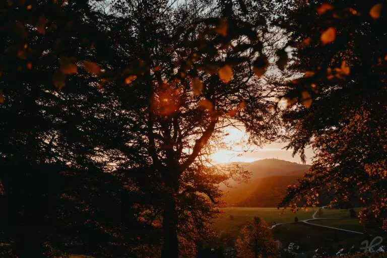 Goldener Herbst Morgen