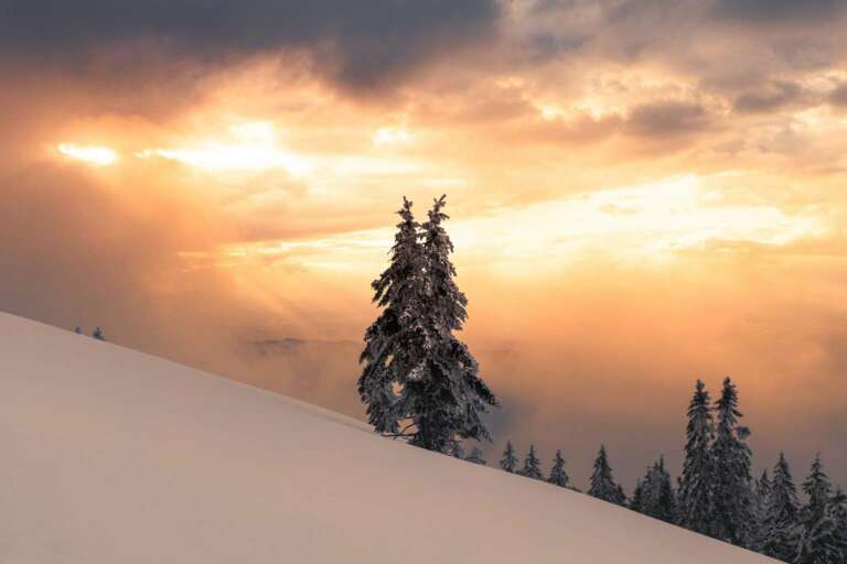 Sonnenstrahlen durch die Wolken im winterlichen Schwarzwald