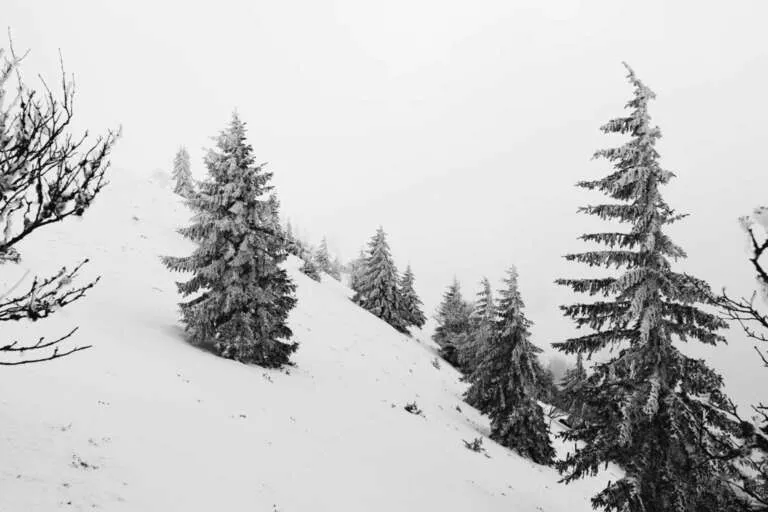 Kalter Winter am Belchen