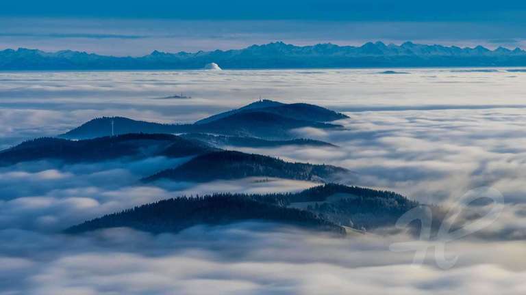 Über dem Nebel, Blick vom Belchen auf die Alpen im Winter