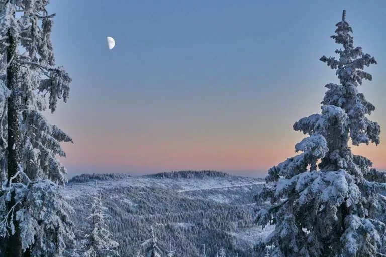 Wintermond über dem Schwarzwald