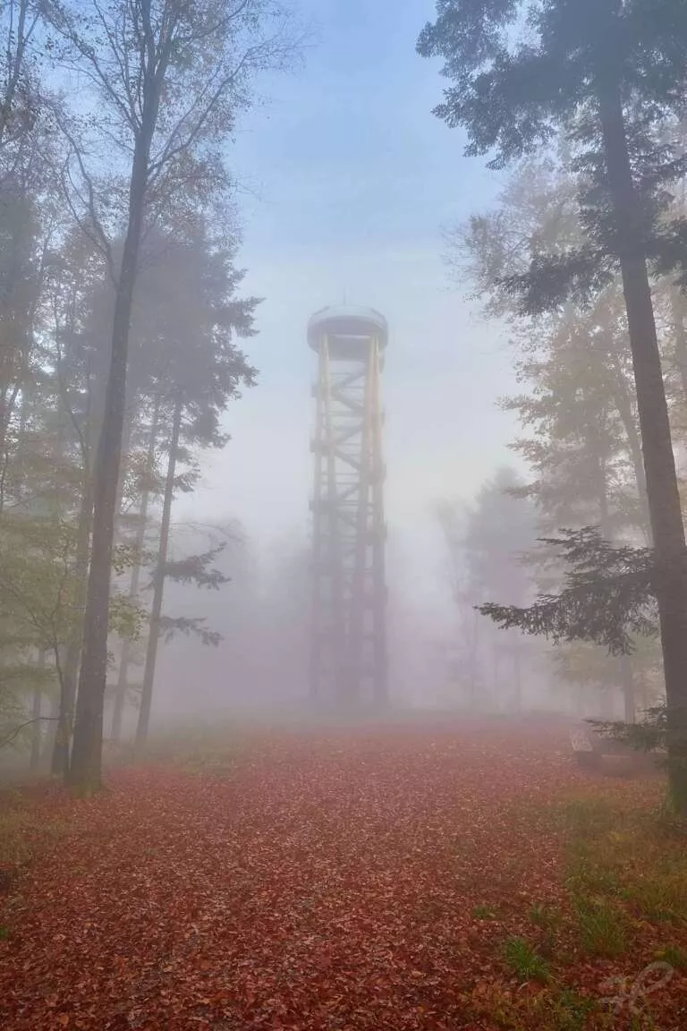 Urenkopf bei Nebel mit Wald