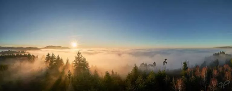 Nebelpanorama über dem Schwarzwald