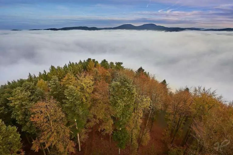 Über dem Nebel im herbstlichen Schwarzwald