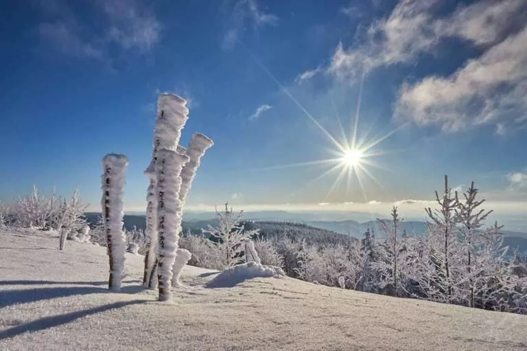 Winter-Sonne über schneebedecktem Schwarzwald
