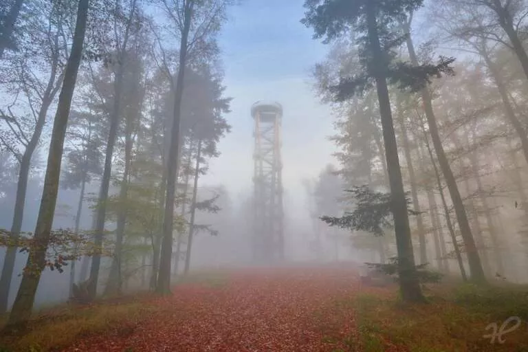 Urenkopfturm bei Nebel mit Wald