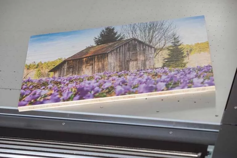 Der Weg zum perfekten Wandbild - Ein fertiges Wandbild, gedruckt im UV-Direktdruck auf Holz. Fotofachlabor Trenkle in Freiburg im Breisgau.