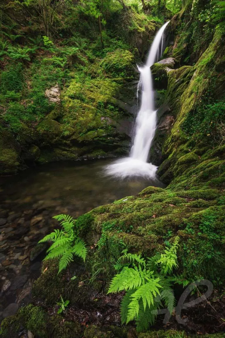 Dolgoch Falls Snowdonia