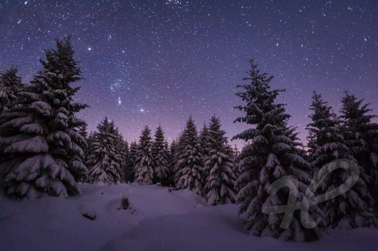 Stille Nacht, Winternacht im Harz
