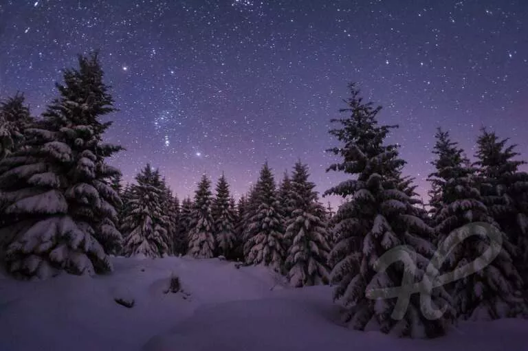 Stille Nacht, Winternacht im Harz