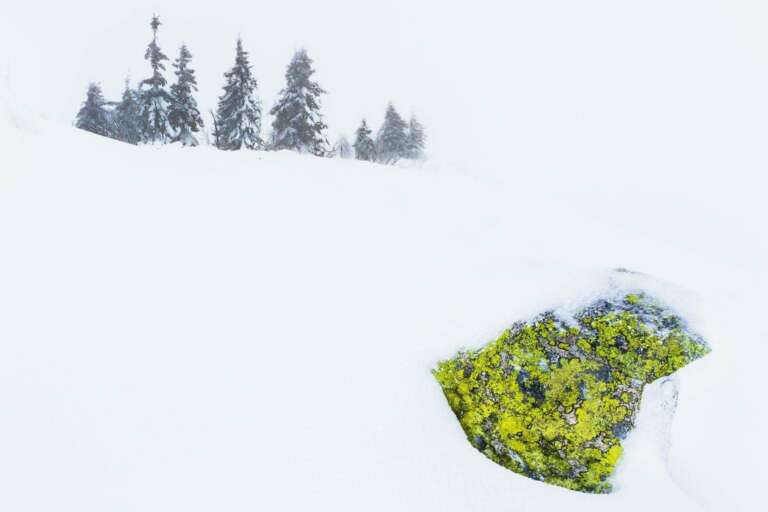Winterdetail, Stein im Schnee