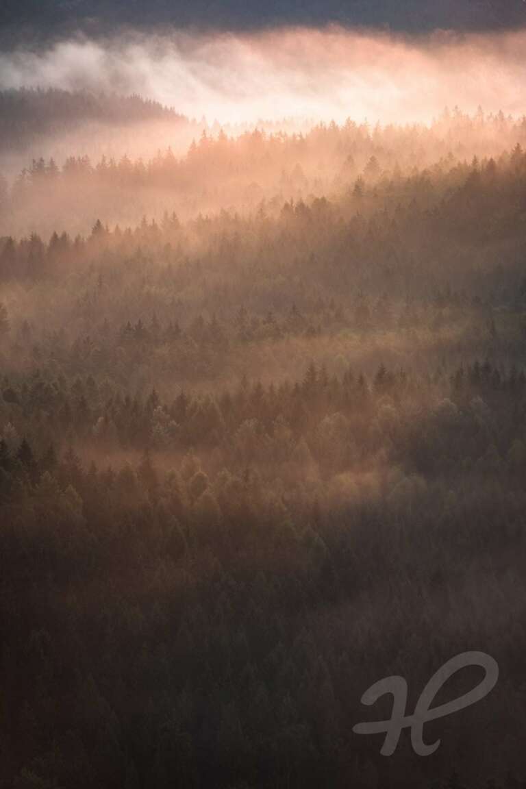 Goldener Nebel über dem Elbsandsteingebirge