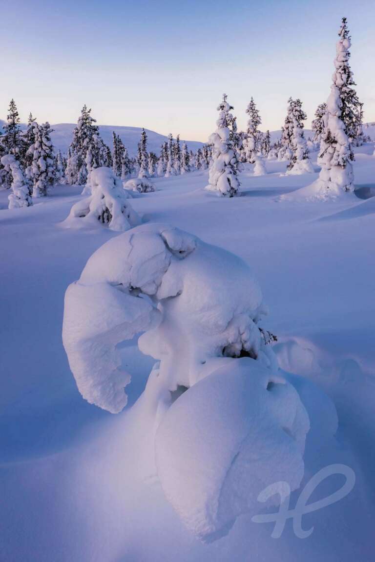 Verschneite Landschaft in Finnland