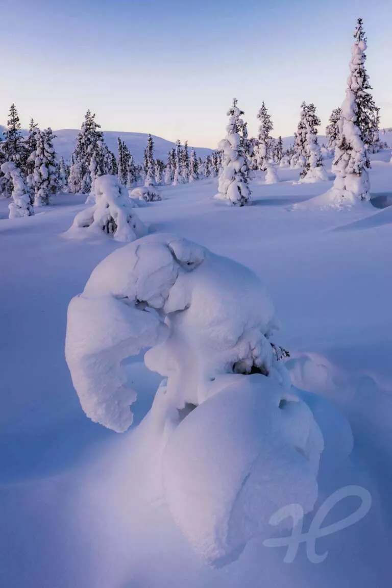Verschneite Landschaft in Finnland