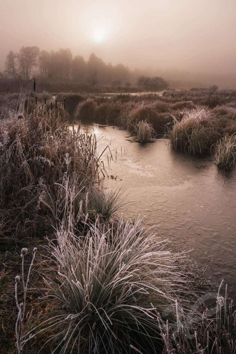 Frostiger Morgen im Moor