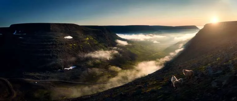 Wolkental-Panorama mit Schafen in Island in großer Auflösung