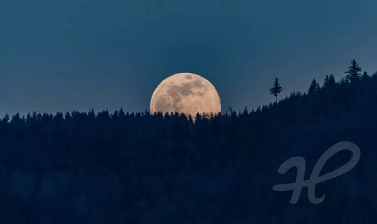 Mondaufgang über dem Beerstein/Schwarzwald