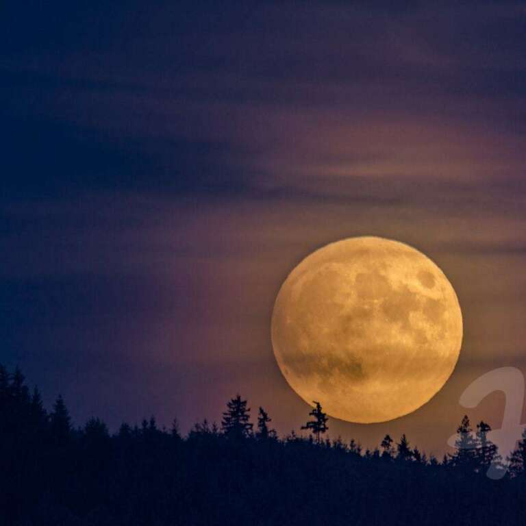 Sommermond über dem Schwarzwald