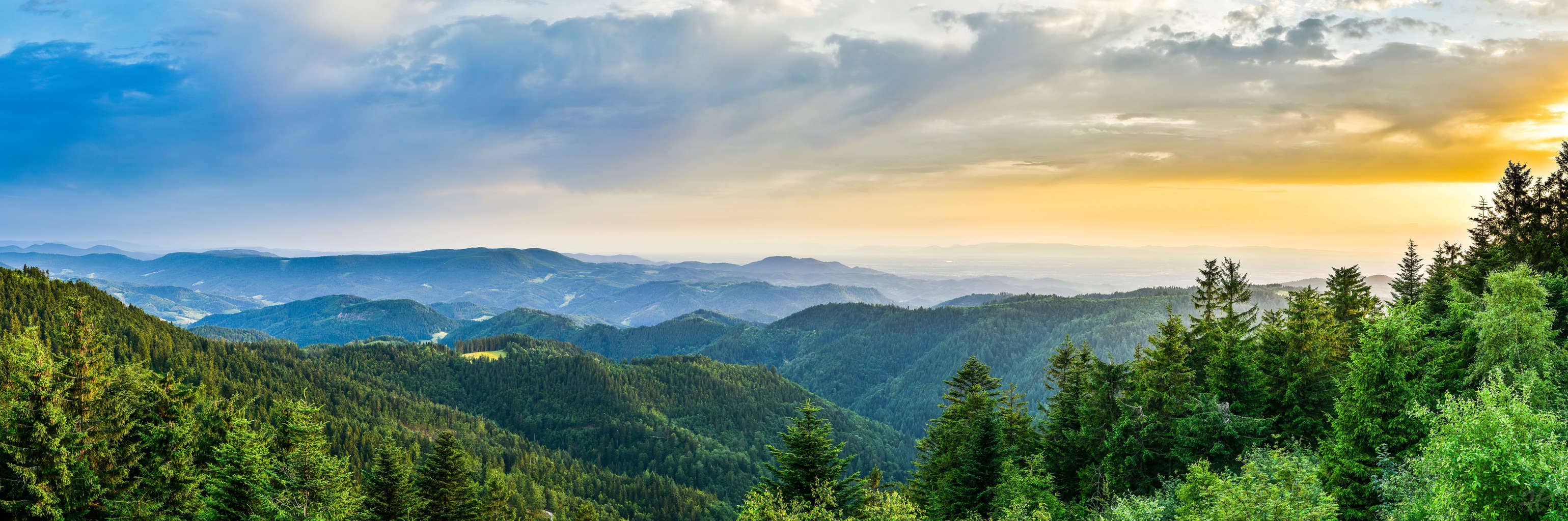 Schwarzwaldpanorama vom Schliffkopf Heimatfotos de