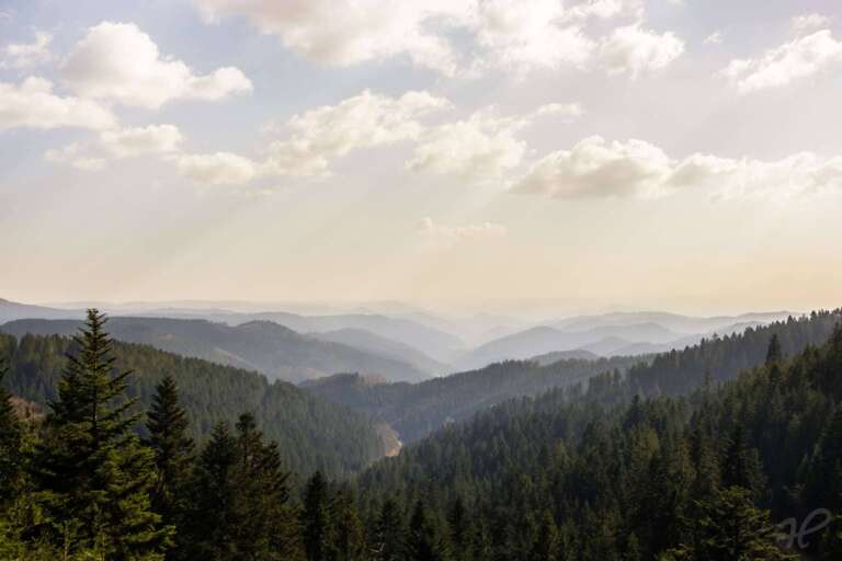 Schwarzwaldberge