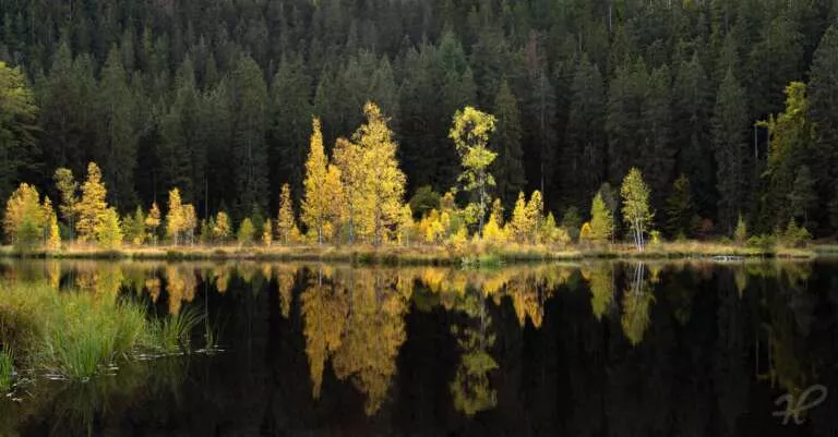 Der Buhlbachsee im Herbst