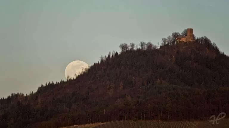 Mondaufgang hinter der Yburg bei Bühl