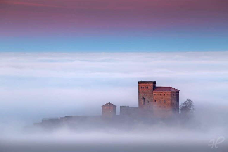 Burg Trifels im Nebelmeer