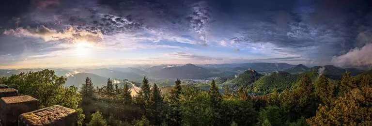 Blick vom Rehbergturm über den Pfälzerwald