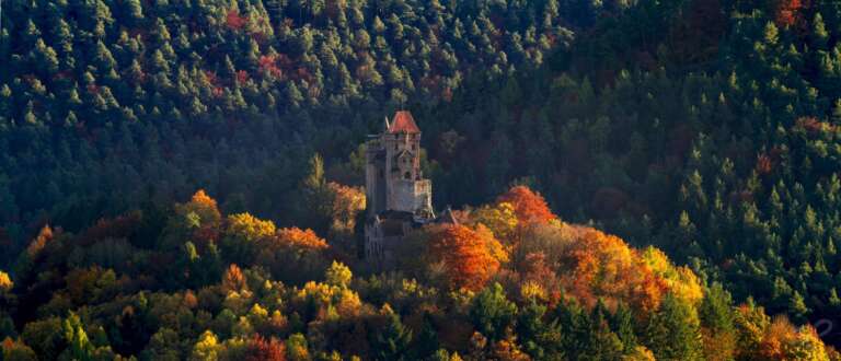 Burg Berwartstein im Herbst