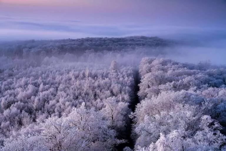 Winter im Pfälzerwald