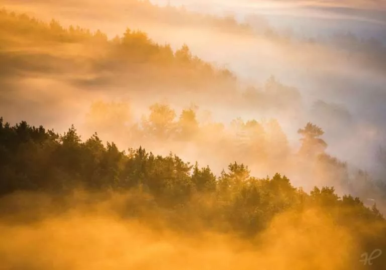 Goldener Nebel zum Sonnenaufgang