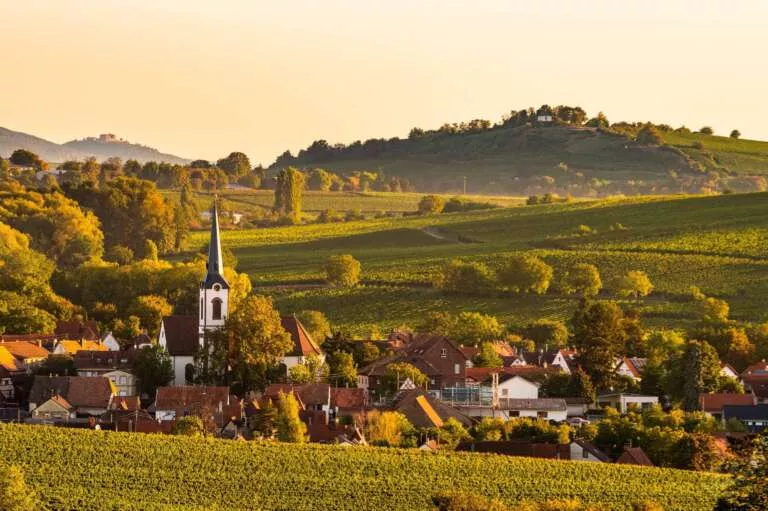 Göcklingen in der Pfalz mit Weinbergen