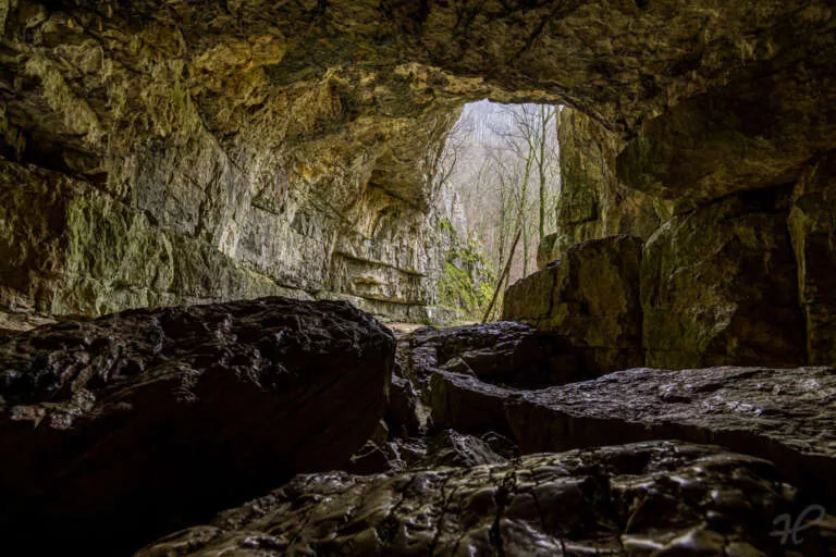 Falkensteiner Höhle – Portal