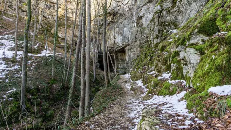 Falkensteiner Höhle – Zugang