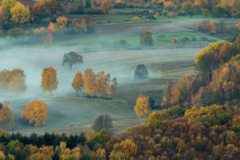 Im Nebel - Ein Heimatfoto von André Straub aus Freinsheim. Er bietet dieses wunderschöne Foto aus der Pfalz über Heimatfotos.de an. Es kann als Wandbild bestellt werden