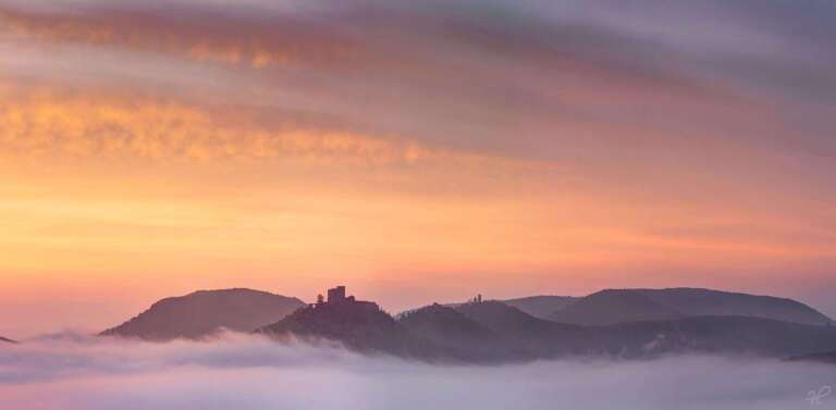 Burg Trifels über dem Nebel