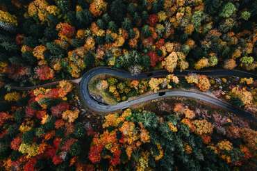 Farben des Herbstes – Straßenkehre
