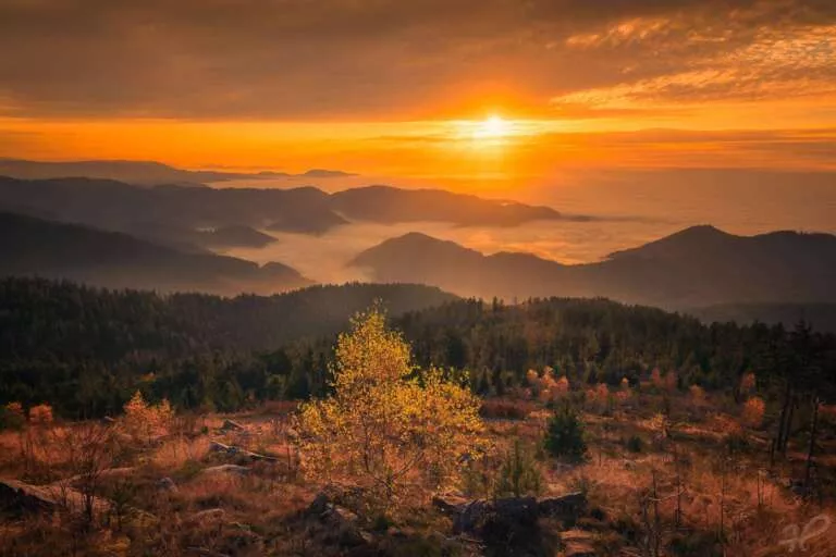 Herbstliche Inversion am Rande des Schwarzwalds