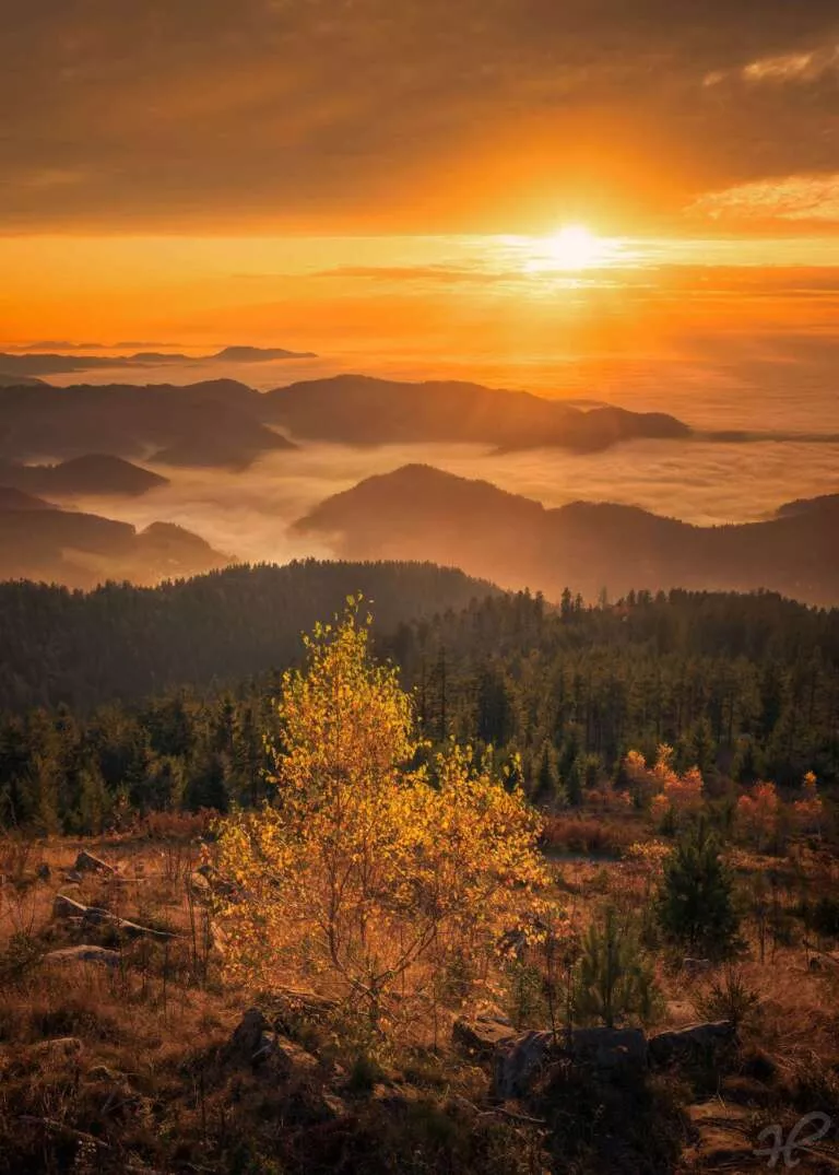Herbstliche Inversion am Rande des Schwarzwalds