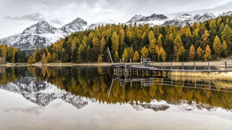Spiegelung der Alpen in einem Bergsee