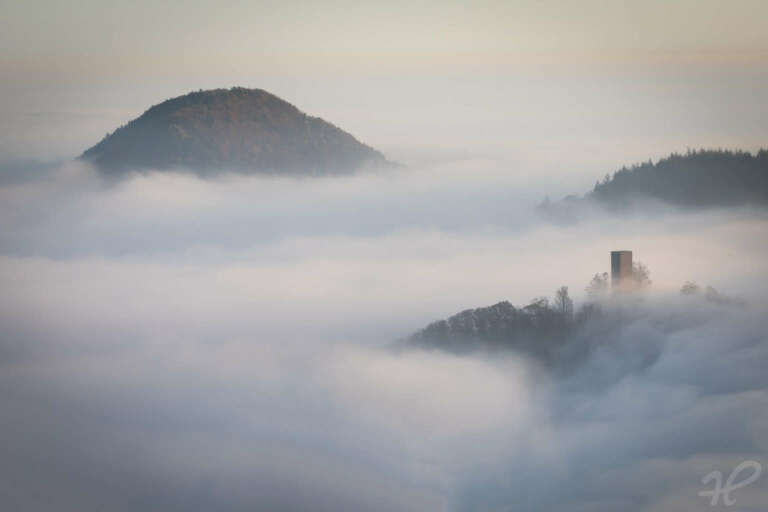 Burgruine Scharfenberg im Nebel