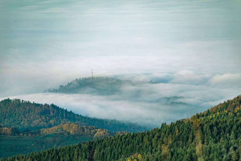 Nebelwelle am Schwarzwald