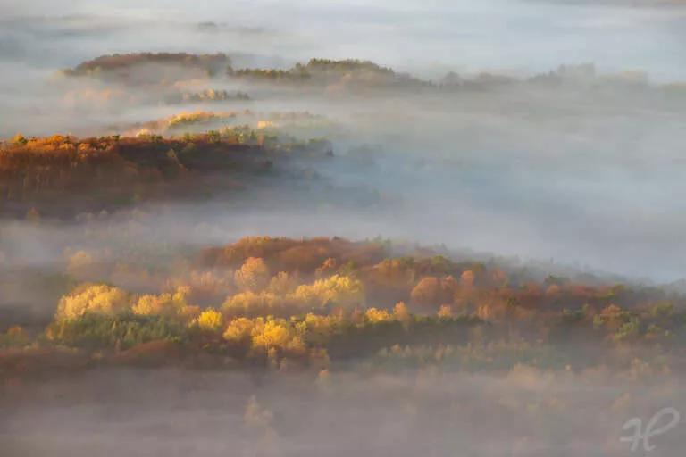 Herbstzeit – Nebelzeit