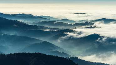 Nebelmeer im Schwarzwald