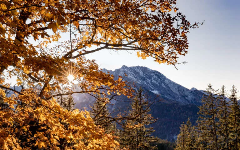 Watzmann im goldenen Herbstlicht