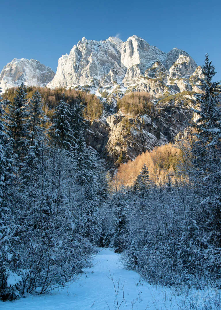 Winter in den Bayrischen Alpen
