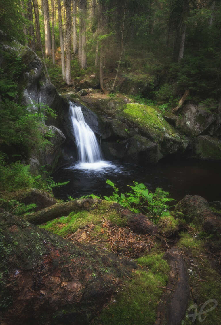 Oasis in the Forest, Wasserfall im Wald